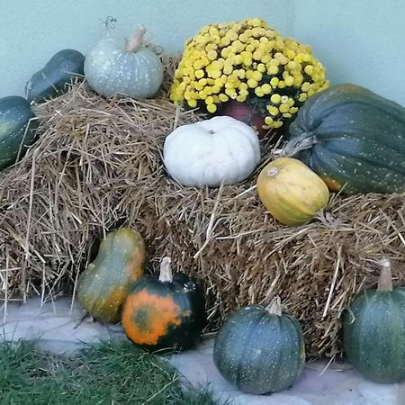 P-Zlatar, Apartman 3 Brdo Zewnętrze zdjęcie